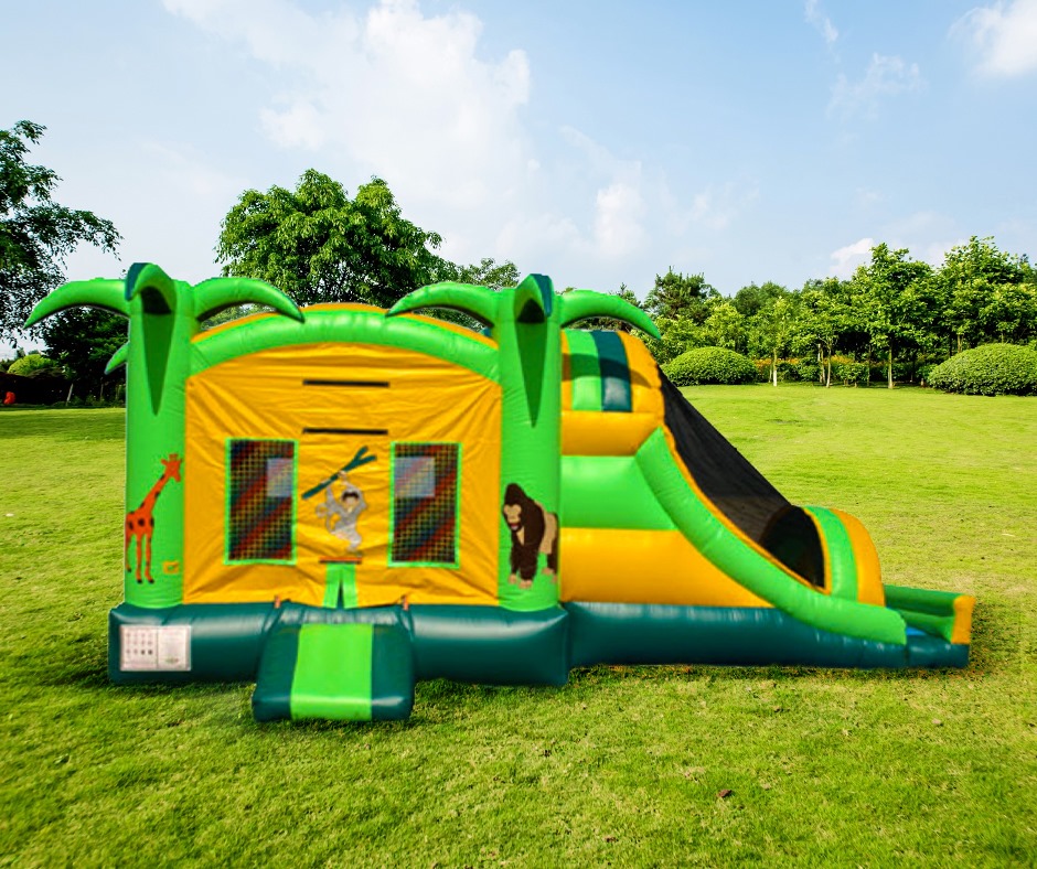 Tropical Combo Slide and Bounce House