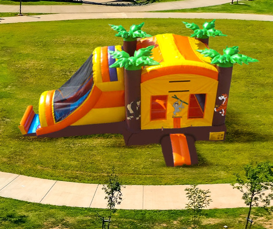 Rain Forest Rainbow Combo Slide (Dry)