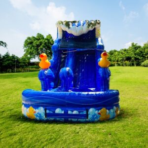 Rubber Ducky Water Slide