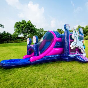 Unicorn Water Slide