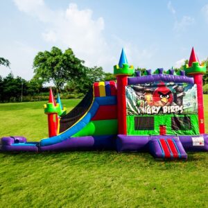 Angry Birds Water Slide