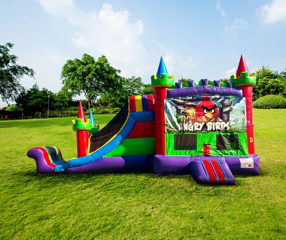 Angry Birds Combo Slide Dry